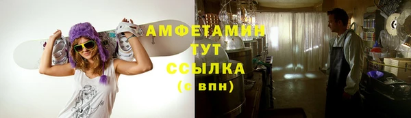 ГАЛЛЮЦИНОГЕННЫЕ ГРИБЫ Вязники