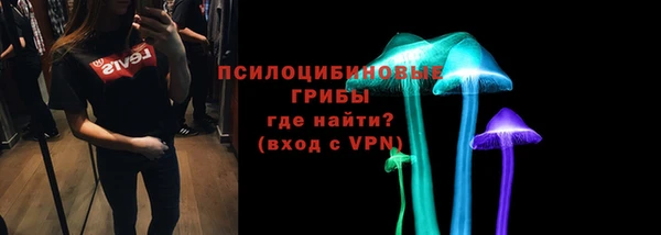 винт Вяземский