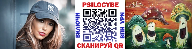 Псилоцибиновые грибы мухоморы  МЕГА ССЫЛКА  Искитим  купить наркоту 